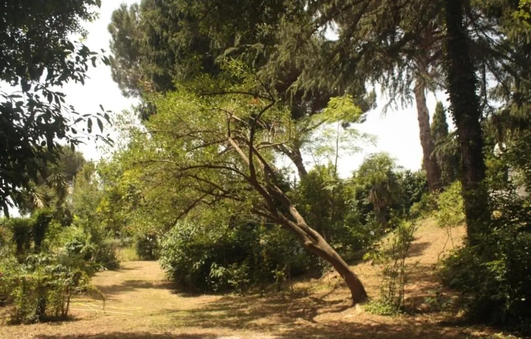 Villa Valeria Versilia Mommio
